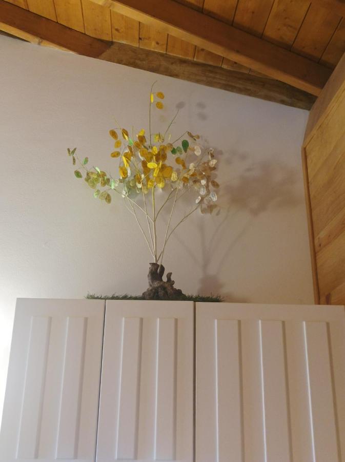 Habitacion Da Moura Maus de Salas Eksteriør billede